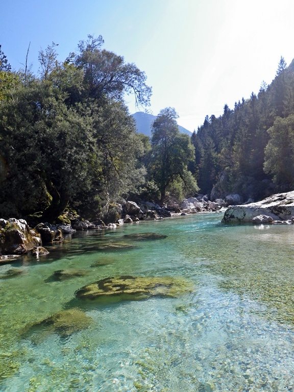 Slovenia Fly Fishing