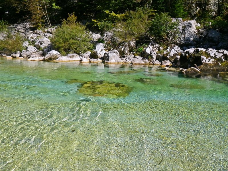 Slovenia Fly Fishing