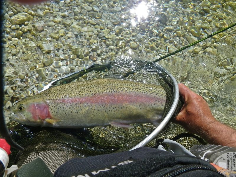 Slovenia Fly Fishing