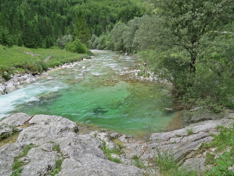 Slovenia Fly Fishing