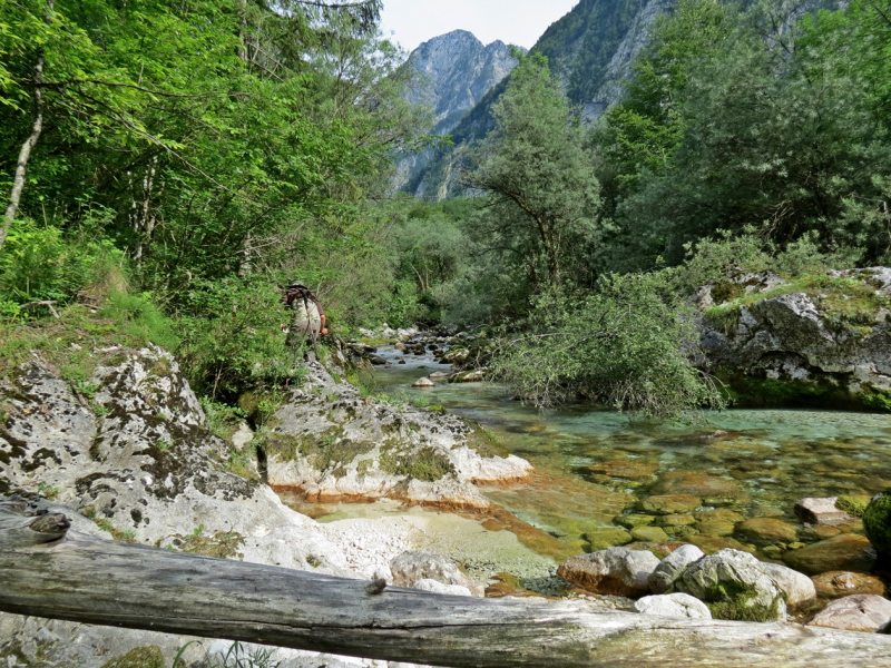 Slovenia Fly Fishing