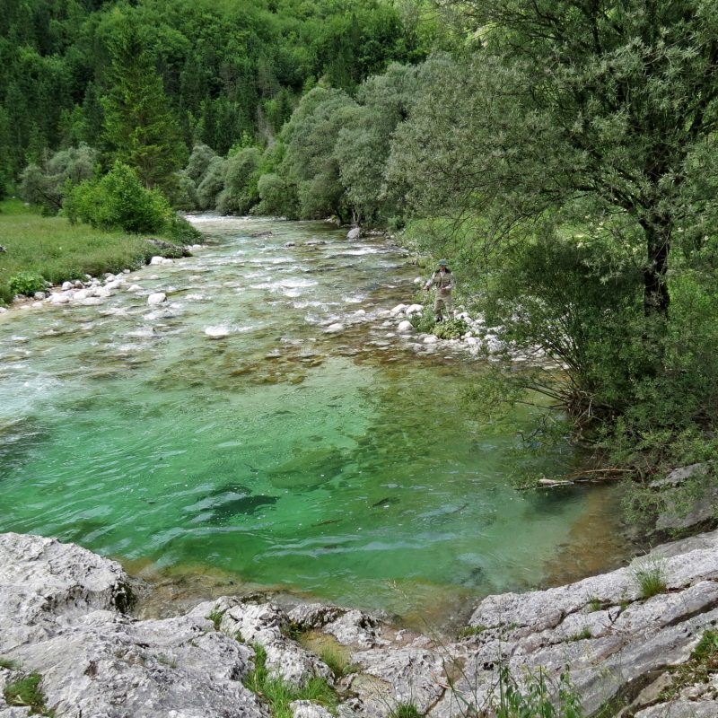 Slovenia Fly Fishing