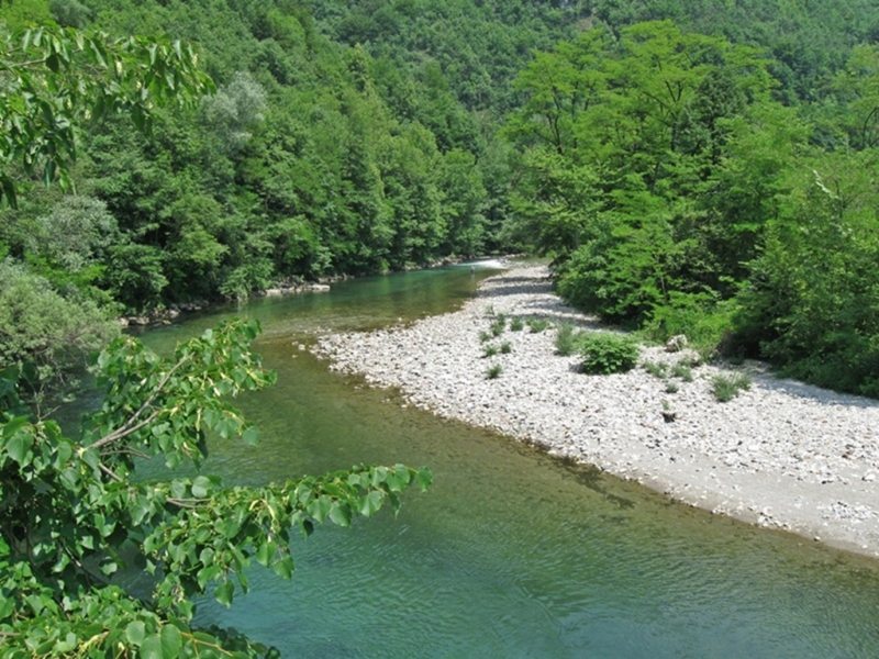 Slovenia Fly Fishing
