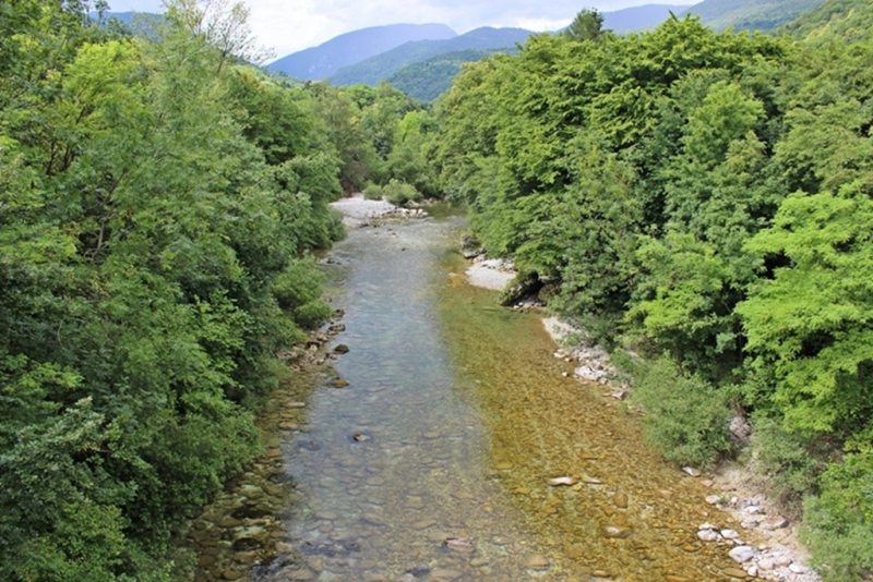 Slovenia Fly Fishing