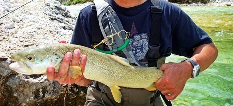 Slovenia Fly Fishing