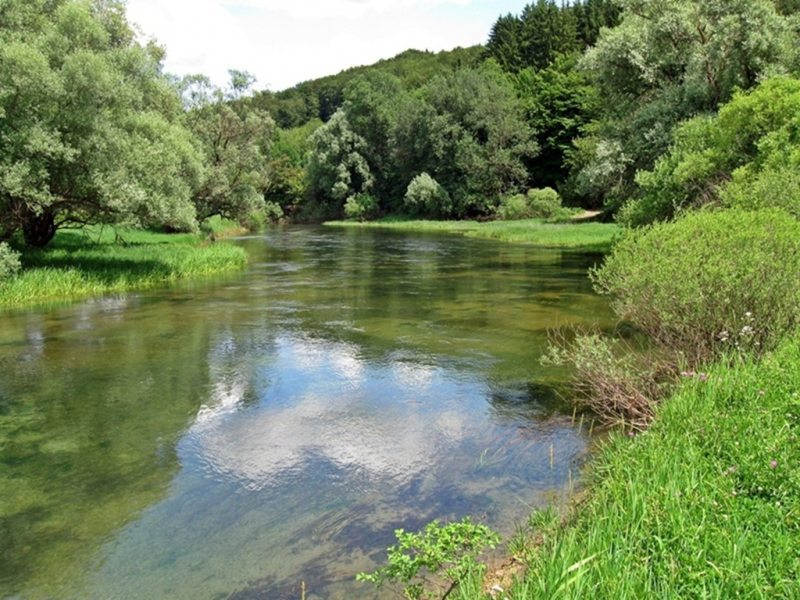 Slovenia Fly Fishing