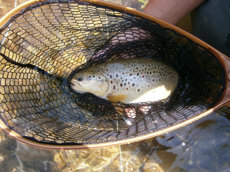 Slovenia Fly Fishing