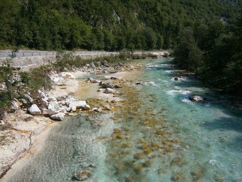 Slovenia Fly Fishing