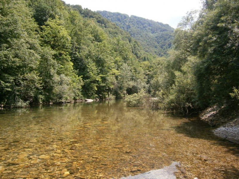 Slovenia Fly Fishing