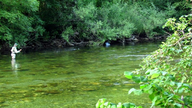 Slovenia Fly Fishing