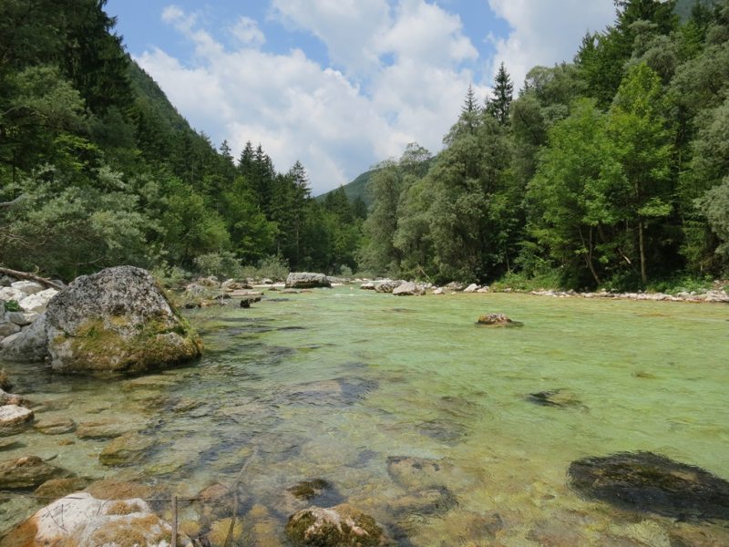 Slovenia Fly Fishing