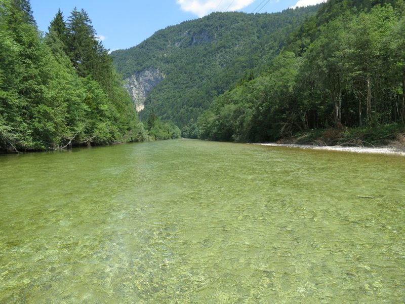 Slovenia Fly Fishing