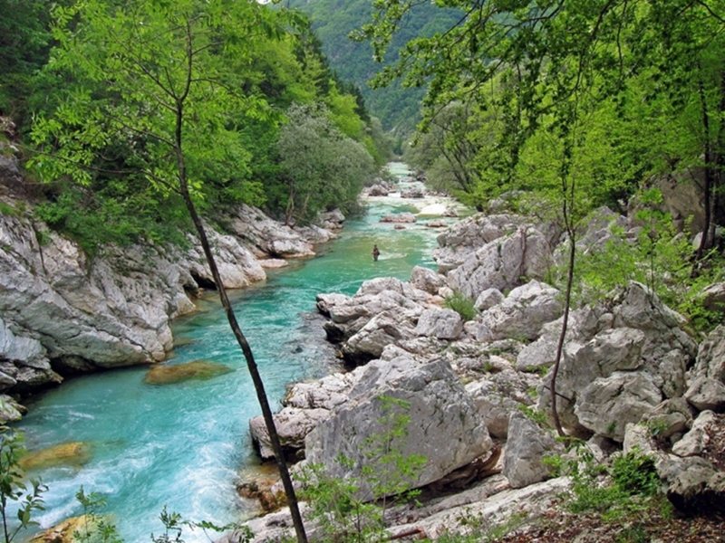 Slovenia Fly Fishing