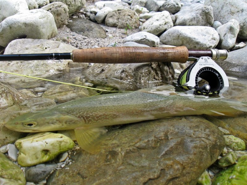 Slovenia Fly Fishing