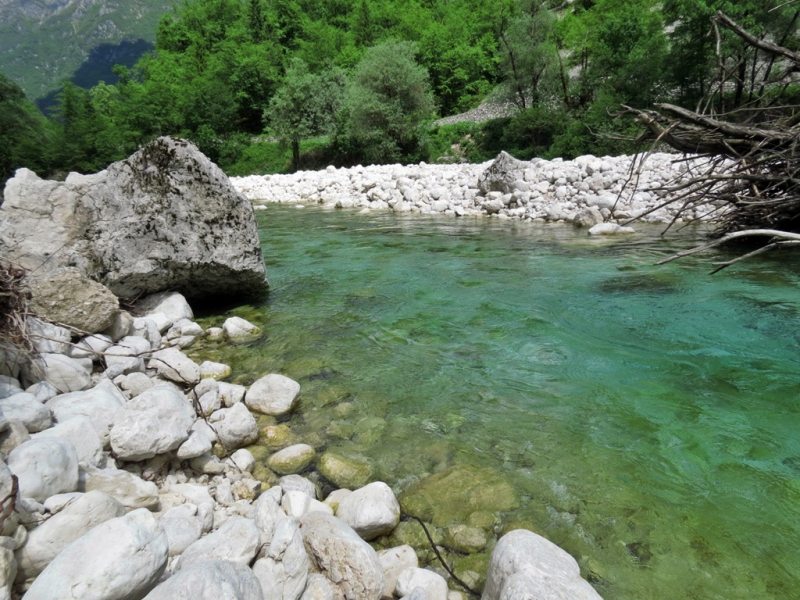 Slovenia Fly Fishing