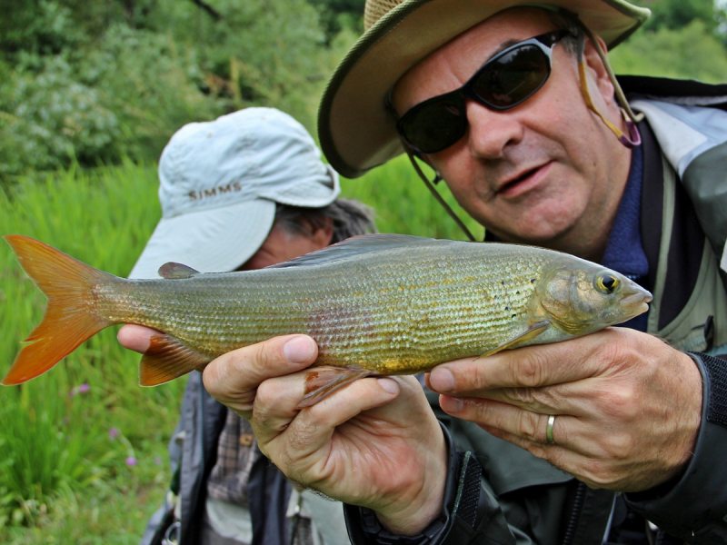Slovenia Fly Fishing