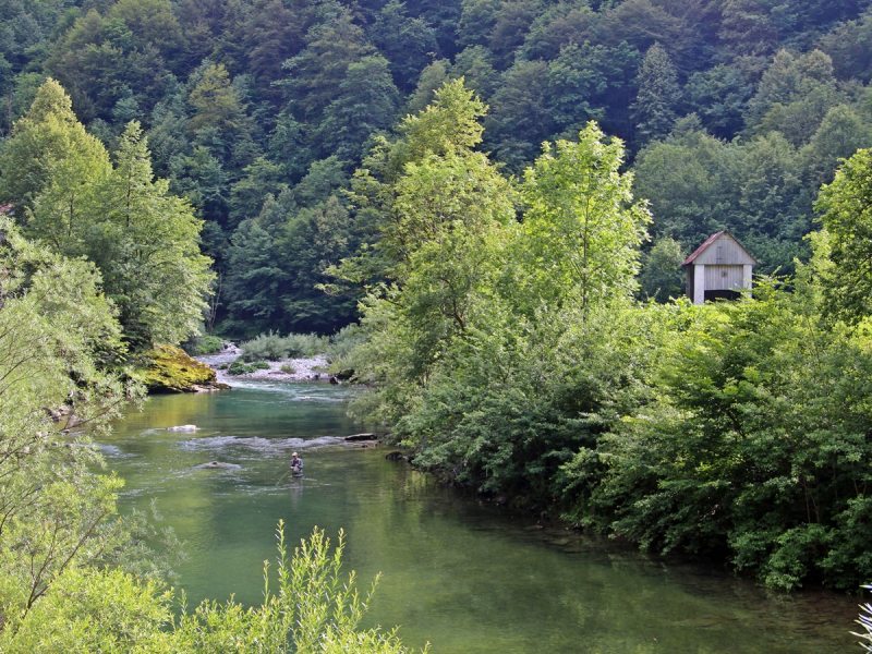 Slovenia Fly Fishing