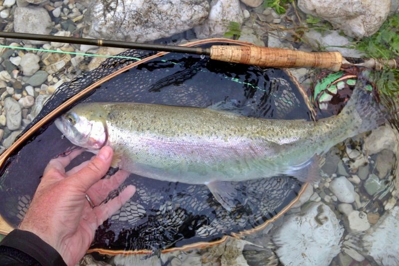 Slovenia Fly Fishing