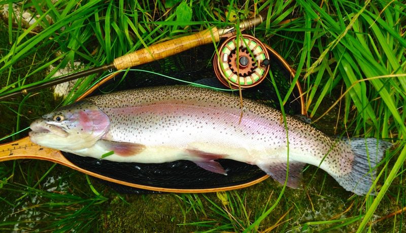 Slovenia Fly Fishing