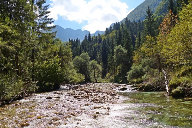 Slovenia Fly Fishing