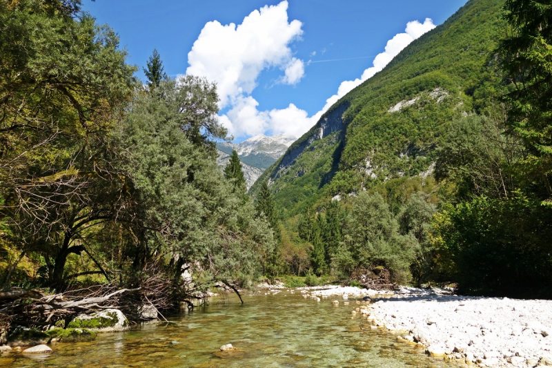 Slovenia Fly Fishing