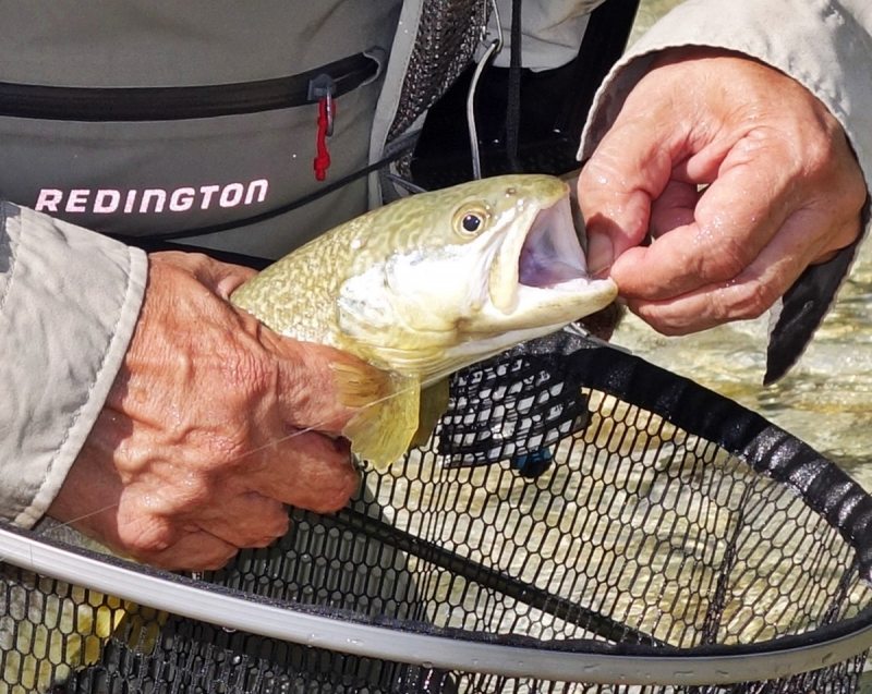 Slovenia Fly Fishing