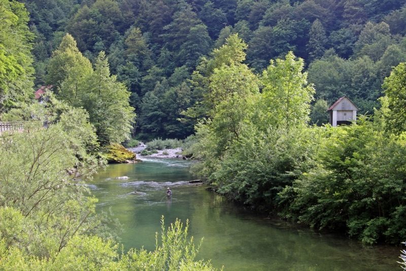 Slovenia Fly Fishing