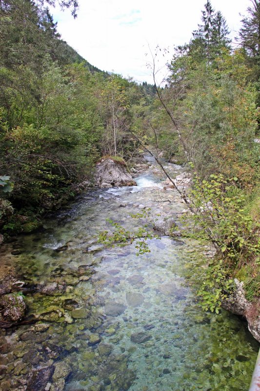 Slovenia Fly Fishing