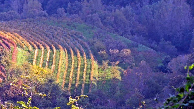 Slovenia Fly Fishing