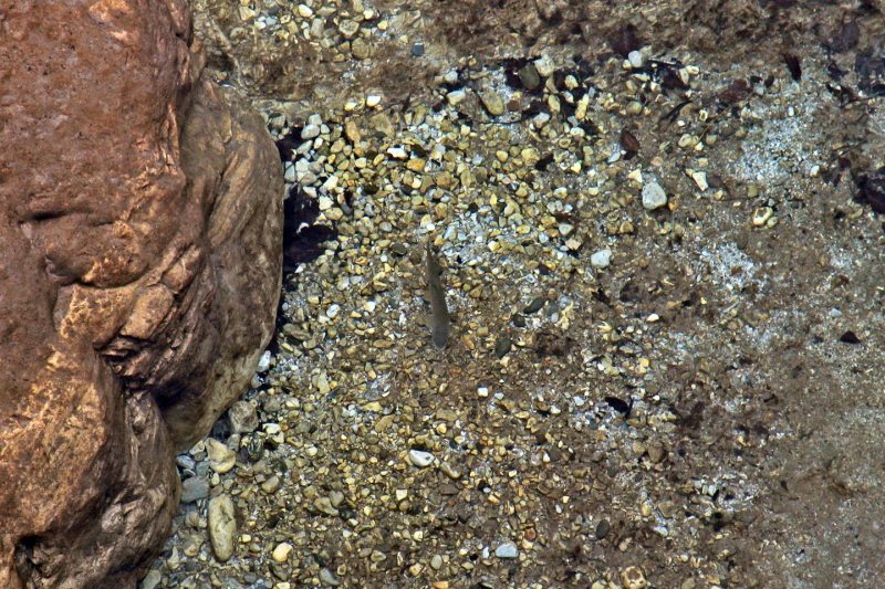 Slovenia Fly Fishing