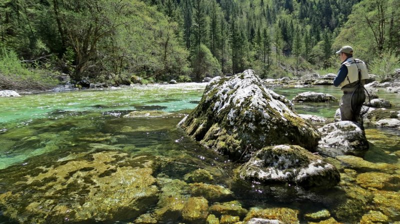 Slovenia Fly Fishing