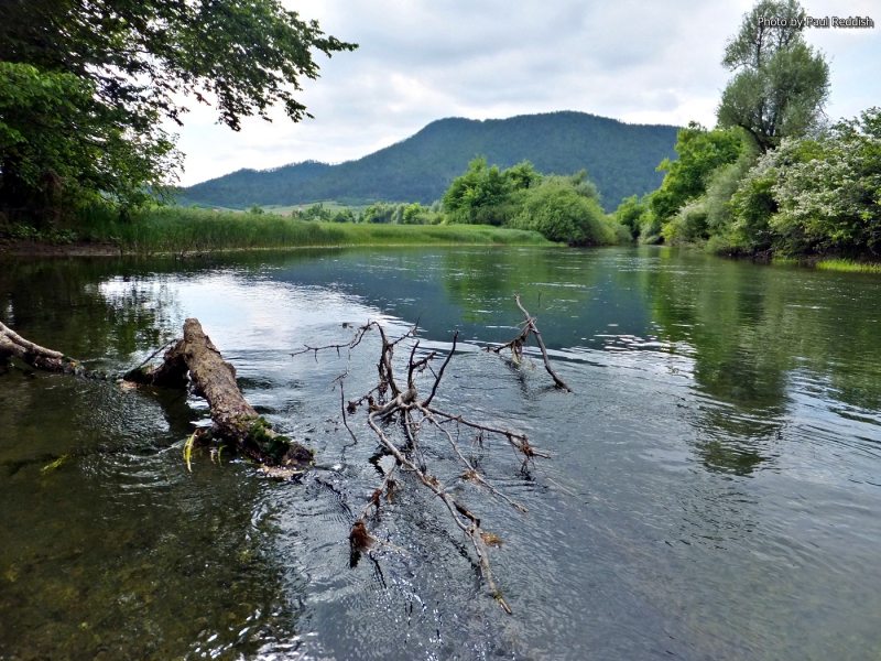 Slovenia Fly Fishing