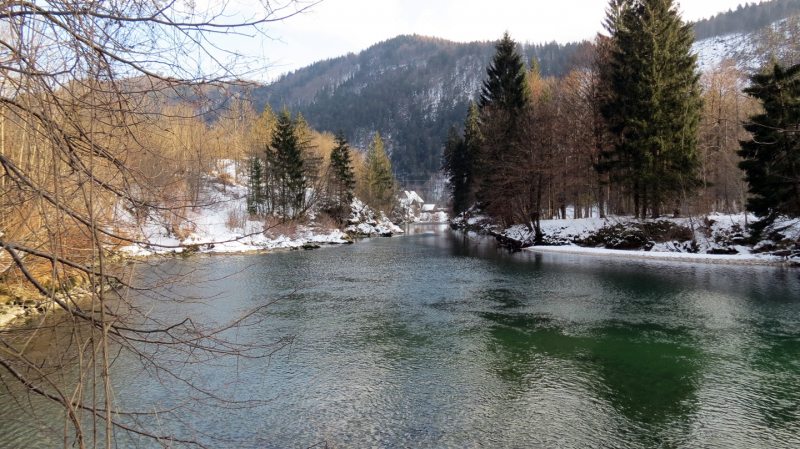 Slovenia Fly Fishing