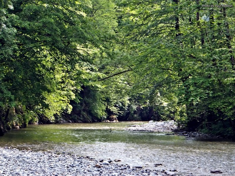 Slovenia Fly Fishing