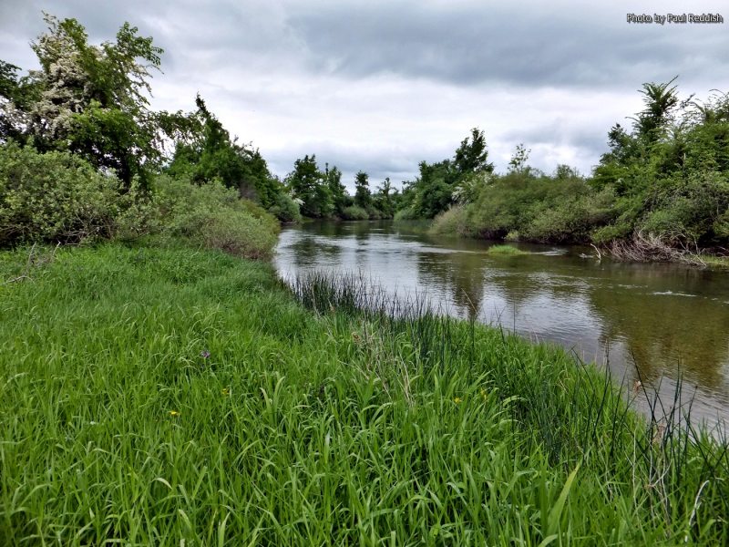 Slovenia Fly Fishing