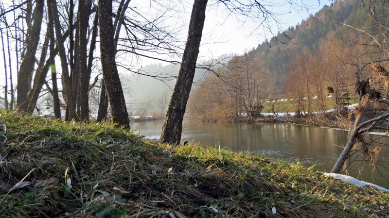 Slovenia Fly Fishing