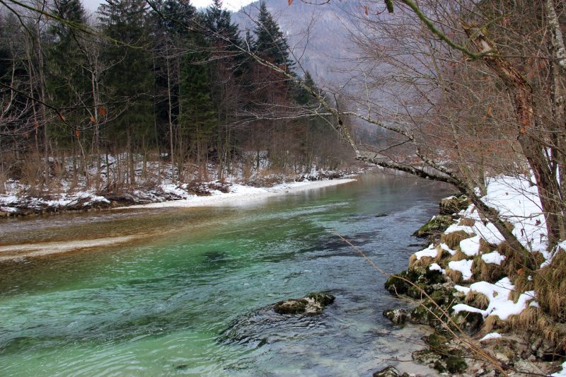 Slovenia Fly Fishing