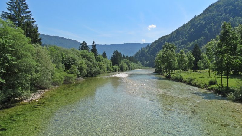 Slovenia Fly Fishing