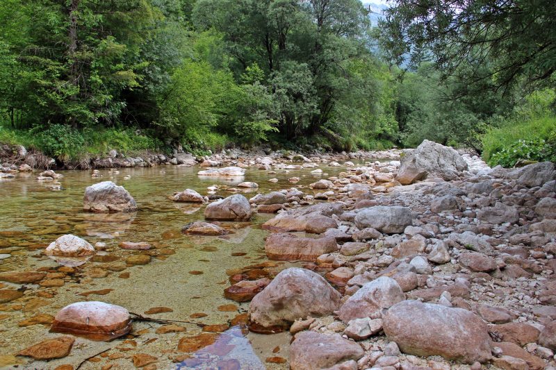 Slovenia Fly Fishing