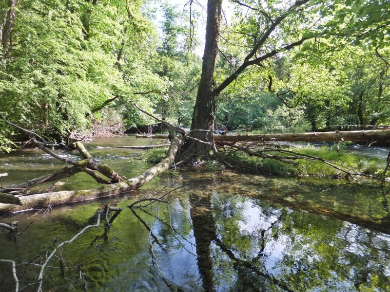 Slovenia Fly Fishing