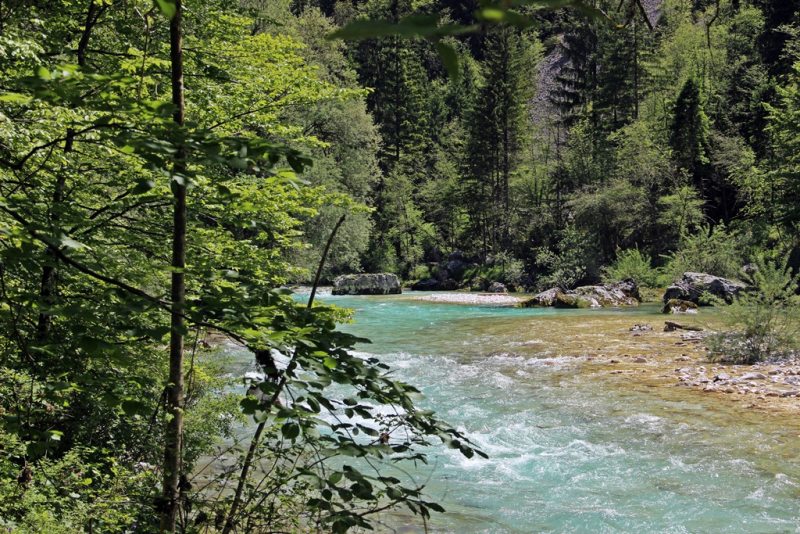 Slovenia Fly Fishing