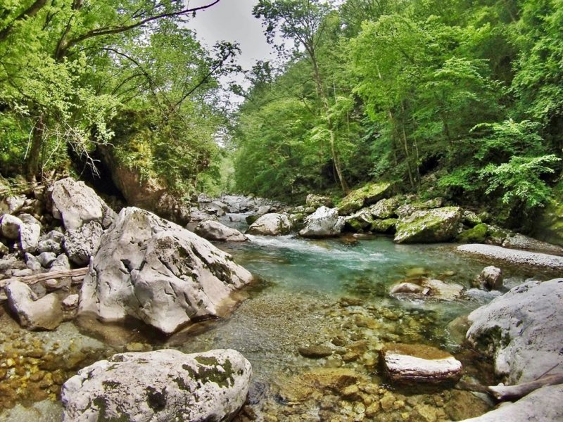 Slovenia Fly Fishing