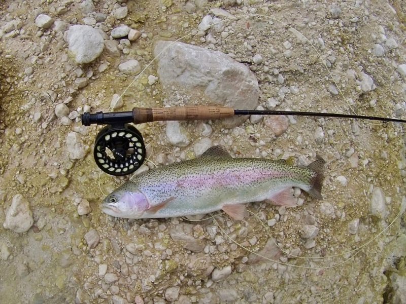 Slovenia Fly Fishing