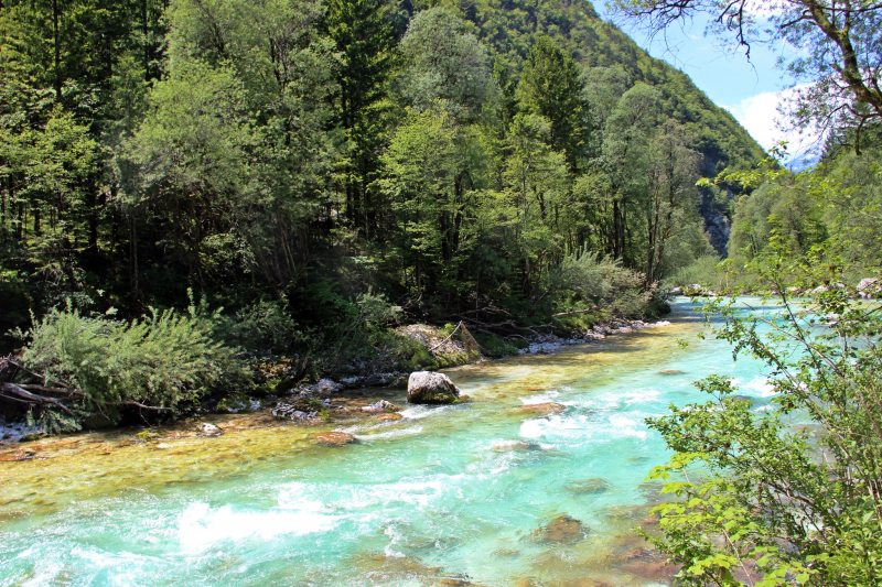 Slovenia Fly Fishing