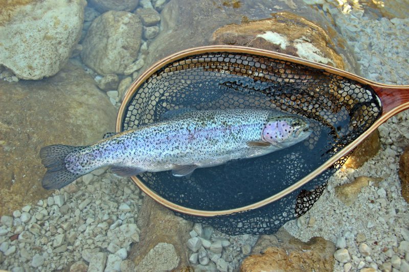 Slovenia Fly Fishing