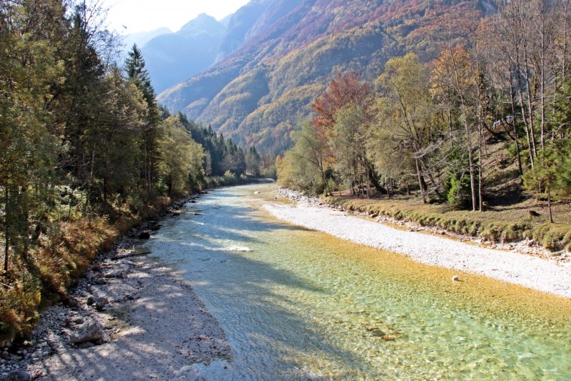 Slovenia Fly Fishing
