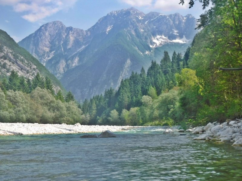 Slovenia Fly Fishing