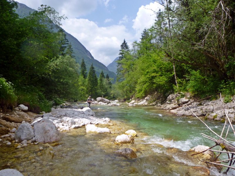Slovenia Fly Fishing