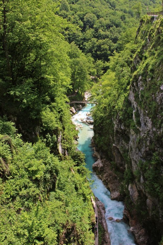 Slovenia Fly Fishing
