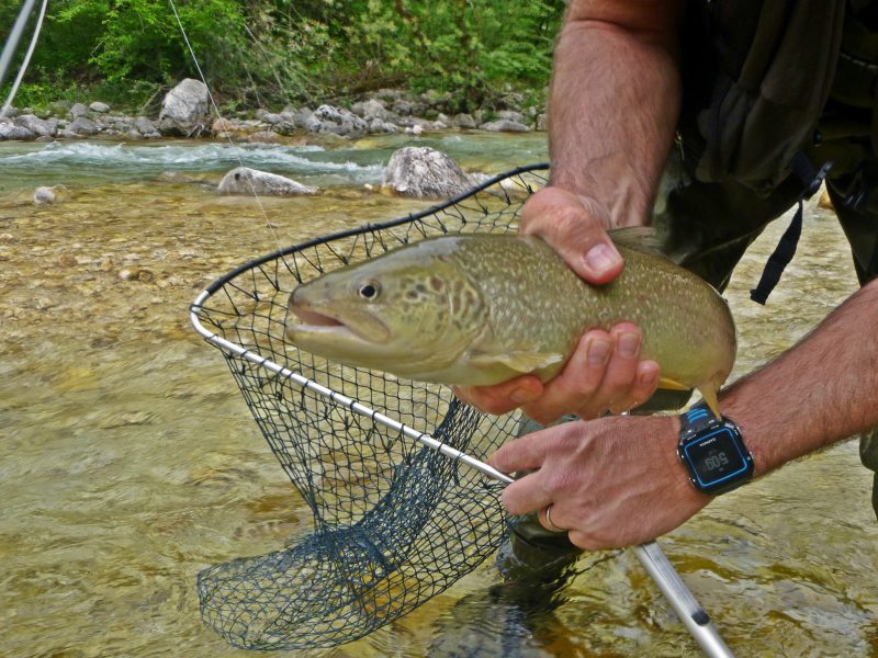 Slovenia Fly Fishing
